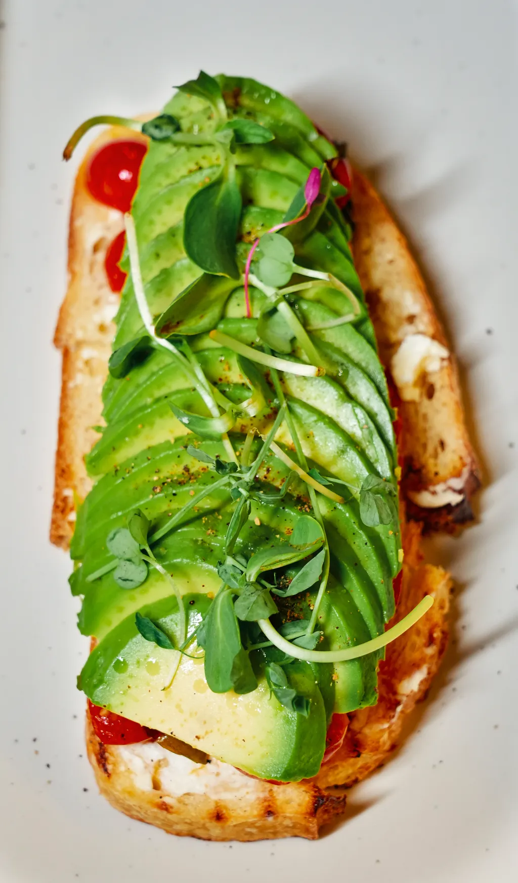 food photography - meal